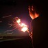 flambeaux